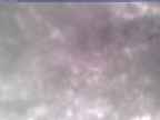 20250310_164001-1.jpg 