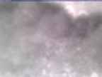 20250311_130002-1.jpg 