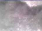 20250311_142002-1.jpg 