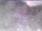 20250311_164002-1.jpg 