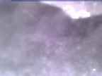 20250312_070001-1.jpg 