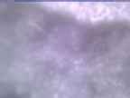 20250313_070001-1.jpg 