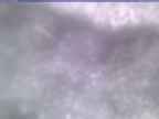 20250313_084002-1.jpg 
