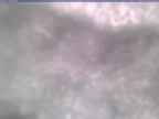 20250313_094002-1.jpg 
