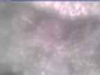 20250313_110002-1.jpg 