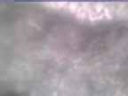 20250313_120001-1.jpg 