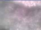 20250313_124002-1.jpg 
