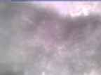 20250313_150002-1.jpg 