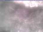 20250313_152002-1.jpg 