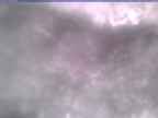 20250313_154001-1.jpg 