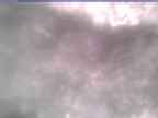 20250313_160001-1.jpg 