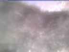 20250313_164002-1.jpg 