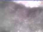 20250313_170002-1.jpg 