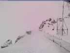 20250315_132001-1.jpg 