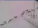 20250315_140002-1.jpg 