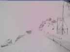 20250315_142002-1.jpg 