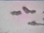20250317_100002-1.jpg 