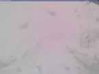 20250317_114002-1.jpg 
