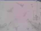 20250317_134002-1.jpg 