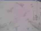 20250317_144001-1.jpg 