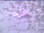 20250318_070002-1.jpg 