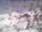 20250318_120002-1.jpg 
