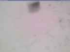20250321_074002-1.jpg 