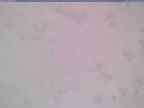 20250321_090002-1.jpg 