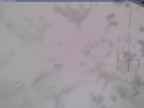 20250321_134002-1.jpg 