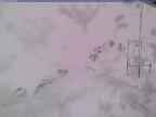 20250321_150001-1.jpg 