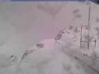 20250322_110001-1.jpg 