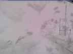 20250322_114002-1.jpg 