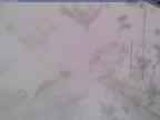 20250322_134001-1.jpg 