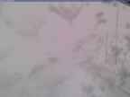 20250322_140001-1.jpg 
