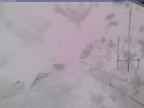 20250322_142001-1.jpg 