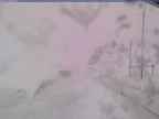 20250322_144001-1.jpg 
