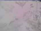 20250322_150001-1.jpg 