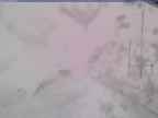 20250322_152001-1.jpg 
