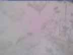 20250322_160002-1.jpg 