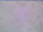 20250322_164001-1.jpg 