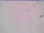 20250323_080002-1.jpg 