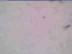 20250323_084001-1.jpg 