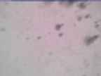 20250323_094002-1.jpg 