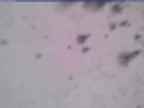 20250323_100001-1.jpg 