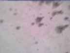20250323_104001-1.jpg 
