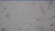20250323_110002.jpg 