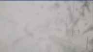 20250323_140001.jpg 
