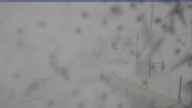 20250323_142002.jpg 