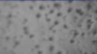 20250323_150002.jpg 