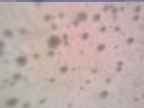 20250326_070002-1.jpg 